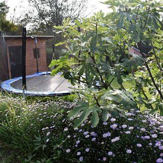 Zergeboglár Vendégház Ajkarendek (4)