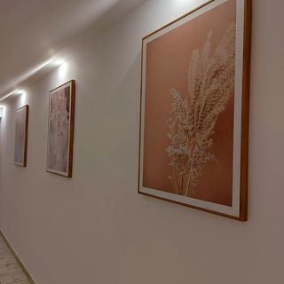 Akácos Tanya és Vendégház Márok (5)