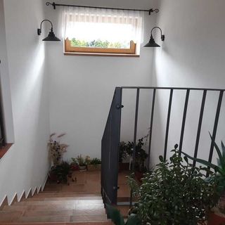 Apartmány Dlouhá louka Trhové Sviny (3)