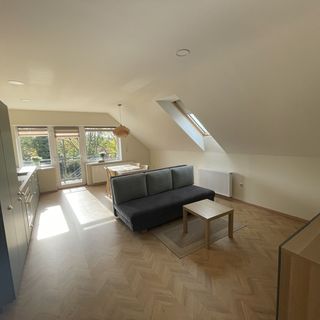 Koliko Apartman Mohács (4)