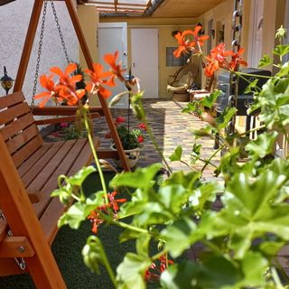 Szabati Vendégház Eger (4)