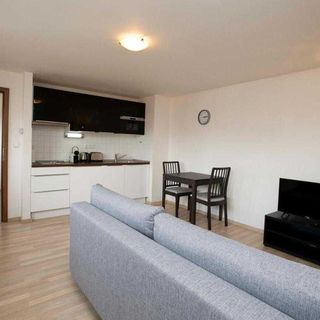 Greg Apartments Kampa Praha (3)