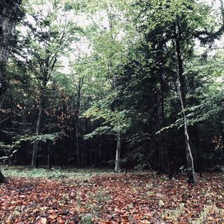 Roth Turistaház Sopron (2)