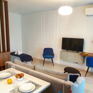 Apartament Blue Record Vibe Cluj-Napoca (3)