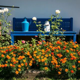 Csenger Vendégházak Mátraverebély (2)