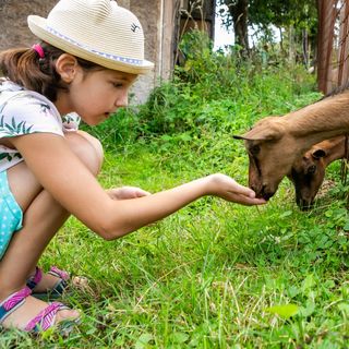 Baráthegyi Panzió és Élménypark Miskolc (4)