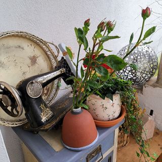 Ubytování s vůní levandule Mikulov (2)