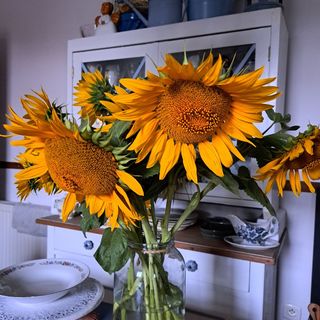 Ubytování s vůní levandule Mikulov (5)