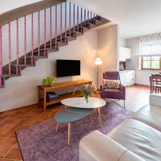 Modrá Hortenzie Archlebov (3)