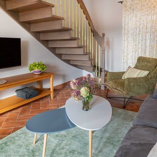 Modrá Hortenzie Archlebov (5)