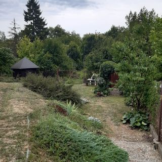 Ardó Vendégház Sárospatak (4)