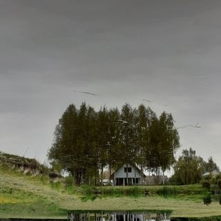 Zajęcza Chata Biebrza (2)