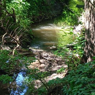 Kispatak Erdei Ház Verőce (3)