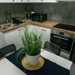 Apartament w centrum V Ustka (3)