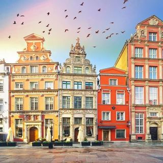  Apartament z widokiem na Ratusz  (3)