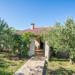 House Pygmy Cormorant Pirovac (5)