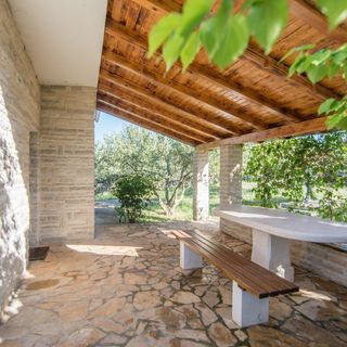 House Pygmy Cormorant Pirovac (4)