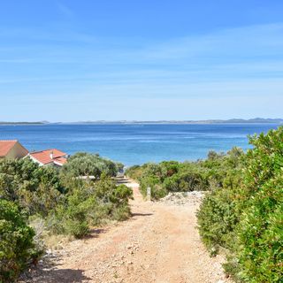 House Pine Shadow Pasman (4)