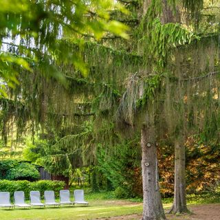 Maja Erdei Pihenőház Kismaros (3)