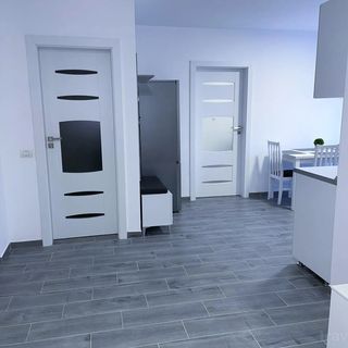 Apartament Ramona Oradea (3)