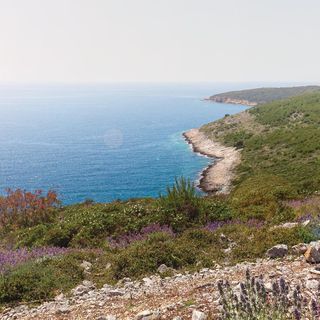 Apartman Premantura - CIA256 (5)