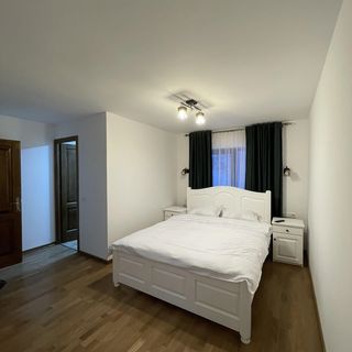 Silver Mountain Villa Colibița (5)