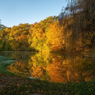 Malomkert Bagolyvár Szob (5)