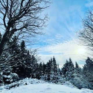 Hívogat-Lak Vendégház Galyatető (4)