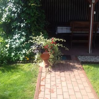 Domek letniskowy KOTKOWO (3)