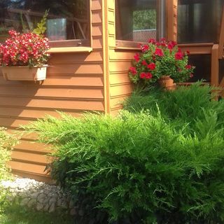 Domek letniskowy KOTKOWO (5)