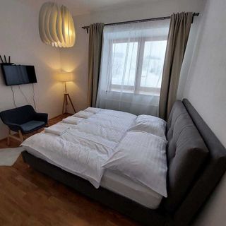 Apartmány u Pivovaru Boží Dar (3)