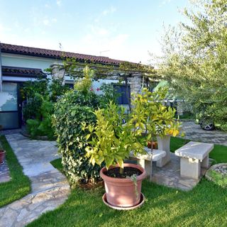 Apartmani Vlado Umag (4)