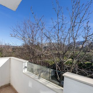 Apartman Slime - CDC892 (4)