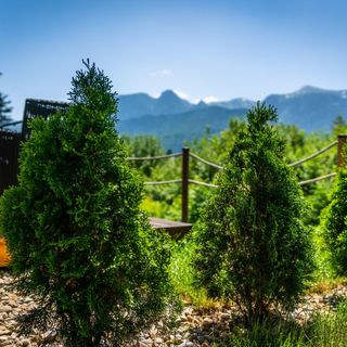 ApartHost Zakopiańskie Chaty Kościelisko (3)