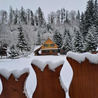 Cabana Zöldfenyő Vărșag (2)