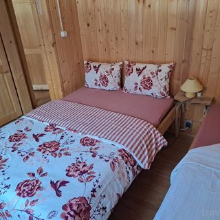 Cabana Zöldfenyő Vărșag (4)