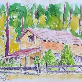 Chata Leśna Polana - Forest Glade Cottage (2)