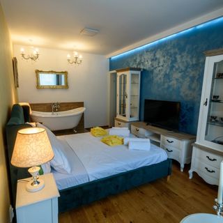 Apartament Fireplace Cluj-Napoca (4)