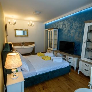 Apartament Fireplace Cluj-Napoca (4)