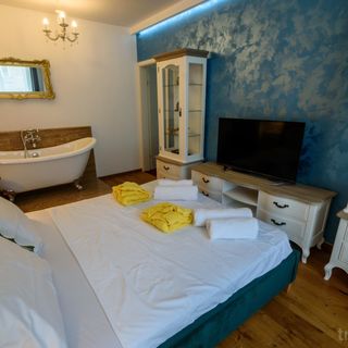 Apartament Fireplace Cluj-Napoca (5)