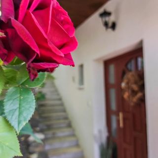 Elbújlak Vendégház Vác (4)