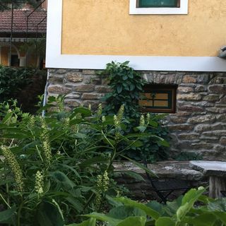 Kertből a hegyre Nyaralóház Mindszentkálla (5)