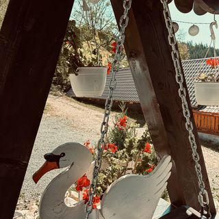 Pensiunea Puiu Popeștii de Sus (3)