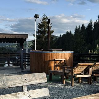 Pensiunea Puiu Popeștii de Sus (4)