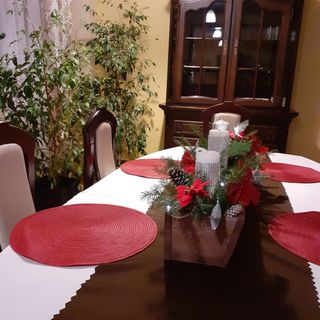 Noclegi Pod Dębem Brzózki (4)