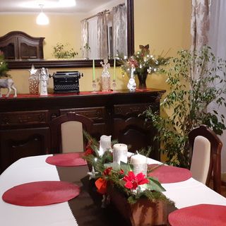 Noclegi Pod Dębem Brzózki (5)