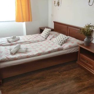 Dvůr u kapličky Nové Dvory (2)