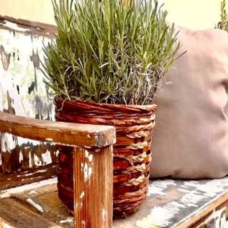 Hencz Vendégház Balatonakarattya (3)