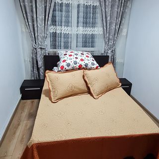 Apartament Bianca Câmpulung Moldovenesc (3)