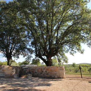 Holiday Home Vinkovic Porec (5)